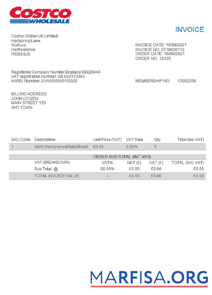 Downloadable USA Costco invoice example